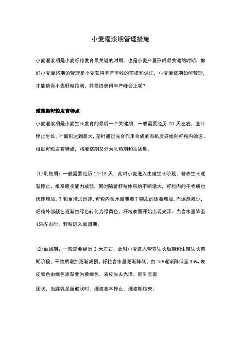 小麦灌浆期管理措施