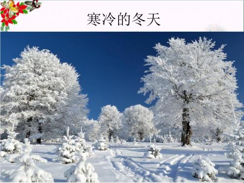 一年级道德与法治上册4.1走进冰雪童话课件鲁人版