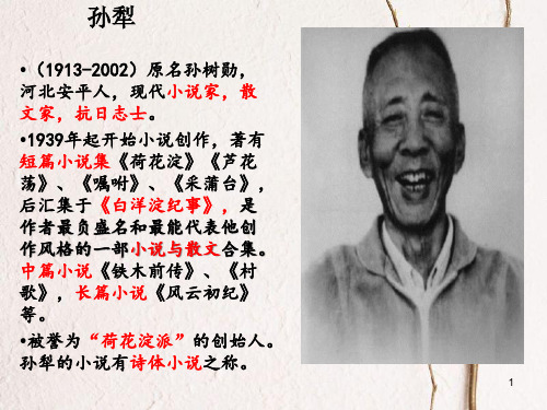 九年级语文上册 第六单元《山地回忆》课件2 北师大版.pptx