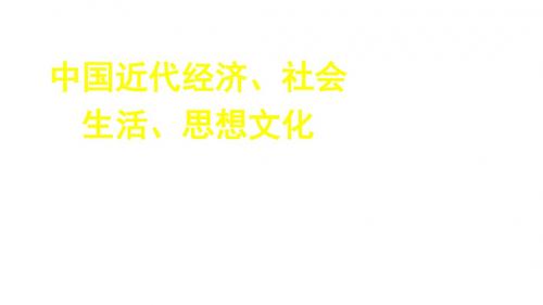 中考历史专题复习中国近代经济、社会生活、思想文化课件新人教版