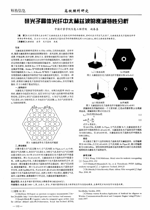 硅光子晶体光纤中太赫兹波的衰减特性分析