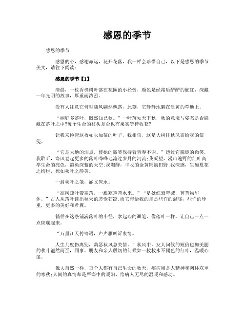 感恩的季节
