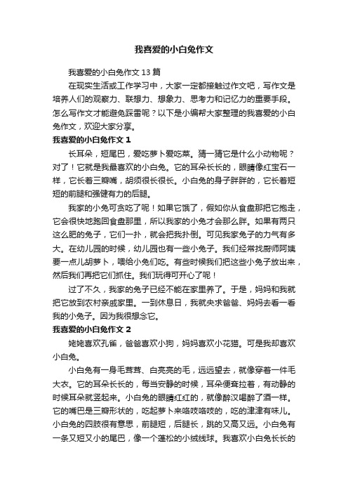 我喜爱的小白兔作文13篇