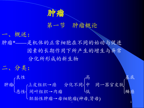 肿瘤 PPT课件