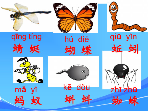《5.动物儿歌》(公开课课件)