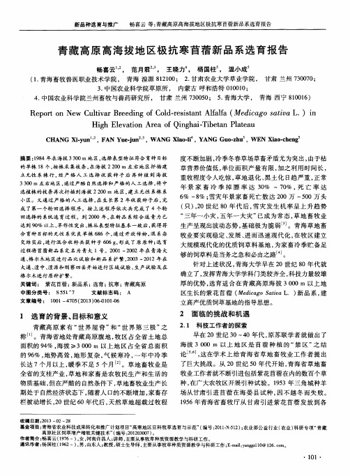 青藏高原高海拔地区极抗寒苜蓿新品系选育报告