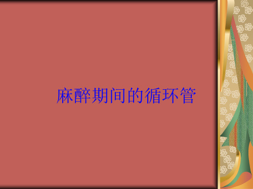 麻醉期间的循环管培训课件