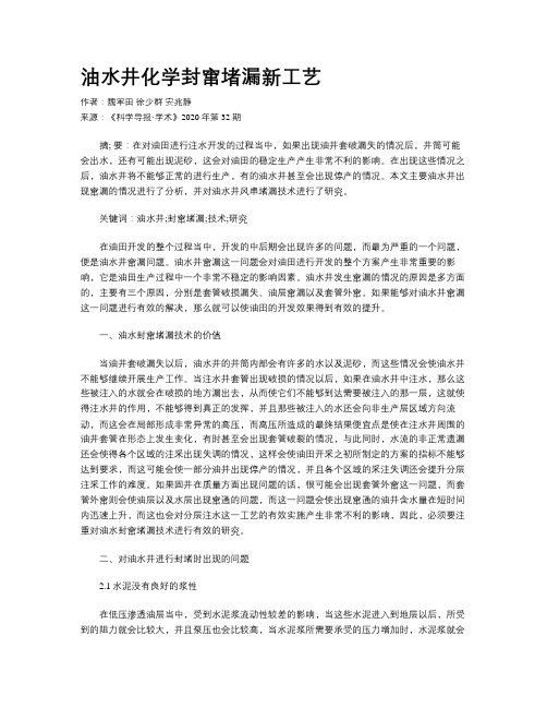 油水井化学封窜堵漏新工艺