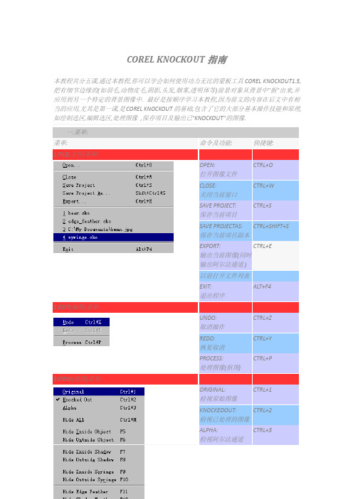 COREL KNOCKOUT指南