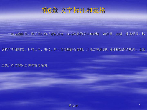 《文字标注和表格》PPT课件