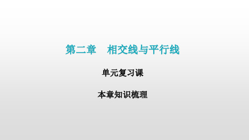 2020-2021学年初中数学北师大版七年级下册第二章单元复习课课件