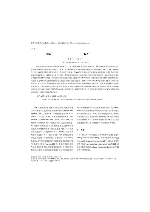 高等植物Na+ 吸收、转运及细胞内Na+ 稳态平衡研究进展
