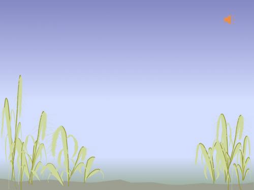 语文S版四下《爷爷的芦笛》ppt课件