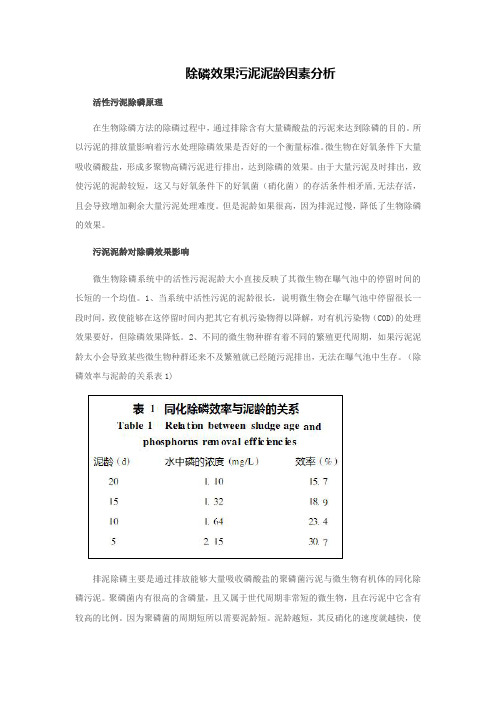 除磷效果污泥泥龄因素分析