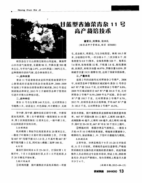 甘蓝型春油菜青杂11号高产栽培技术