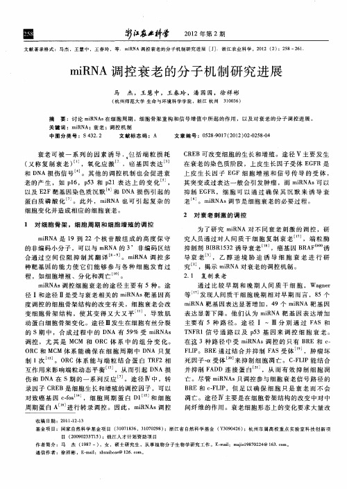 miRNA调控衰老的分子机制研究进展