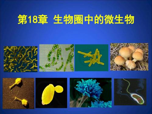 北师大版_八年级生物_18.1微生物在生物圈中的作用