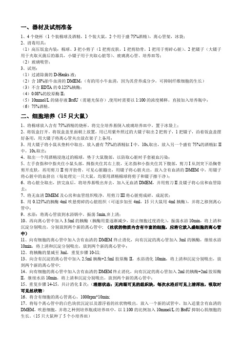 改进原代心肌细胞培养