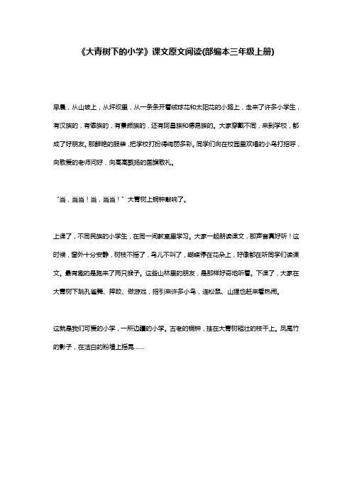《大青树下的小学》课文原文阅读(部编本三年级上册)