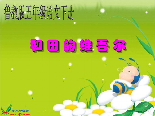 鲁教版语文五年级下册《和田的维吾尔》PPT课件