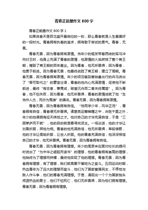 青春正能量作文800字