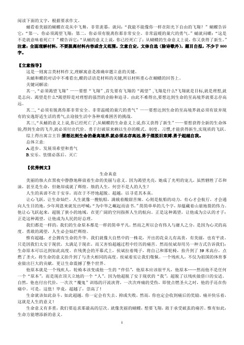 蛹和蝴蝶作文