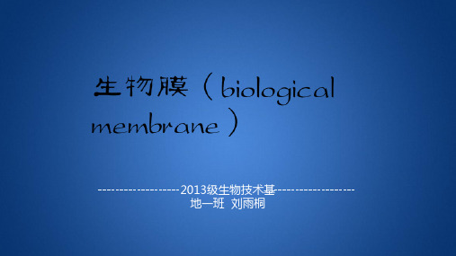 生物膜结构功能形成机理