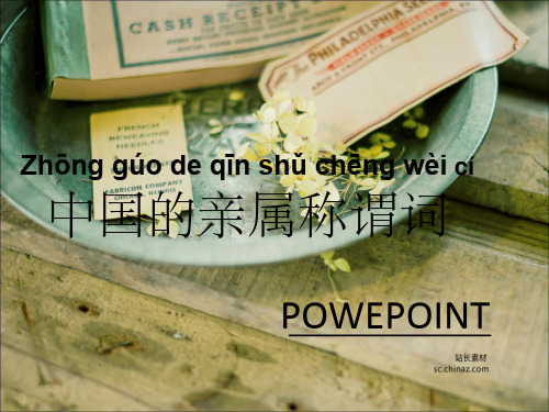 对外汉语亲属称谓词讲课精选ppt