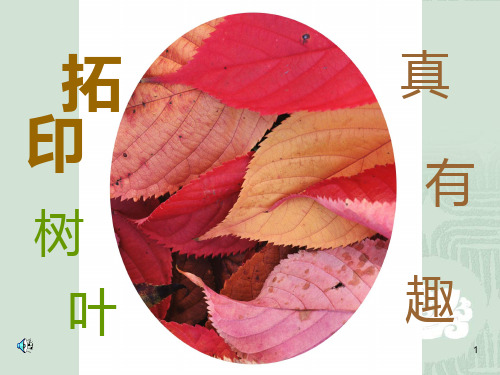 树叶拓印ppt课件