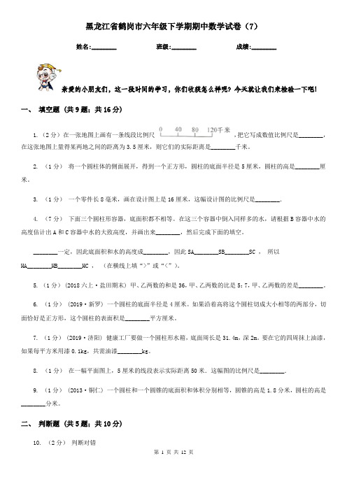 黑龙江省鹤岗市六年级下学期期中数学试卷(7)