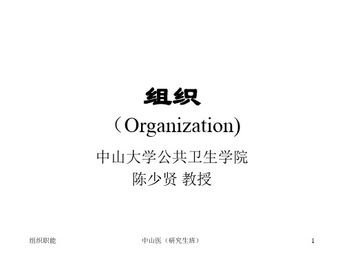 组织职新能-组织(Organization)(ppt 55页)
