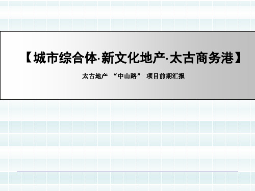 太古地产 “中山路” 项目前期汇报