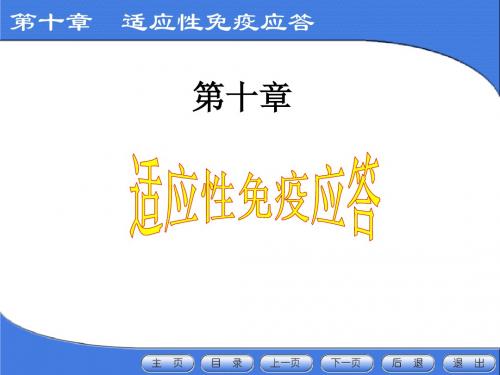 10章 适应性免疫应答