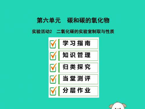 2019年秋九年级化学上册第六单元碳和碳的氧化物实验活动2二氧化碳的实验室制取与性质课件人教版