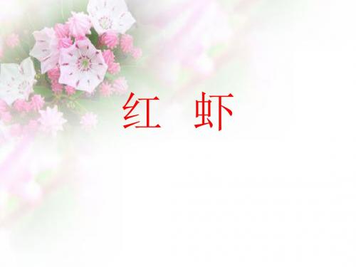 2019年-五年级下册语文课件-《红虾》｜湘教版    (共22张PPT)-PPT精选文档