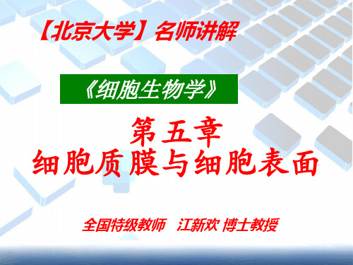 【北京大学】医学院--专业课程--《细胞生物学》第四章-细胞质膜与细胞表面结构