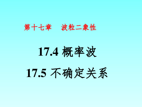 波动性、概率波与不确定关系ppt课件