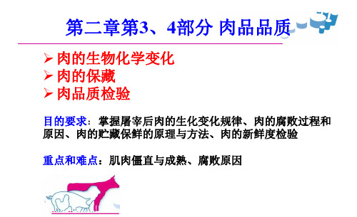 第3章畜产食品原料 肉品品质