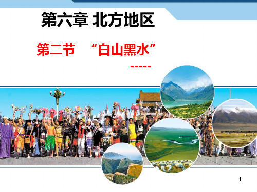 第六章北方地区 第二节“白山黑水”东北三省第二课时PPT课件