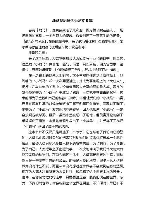 战马观后感优秀范文5篇