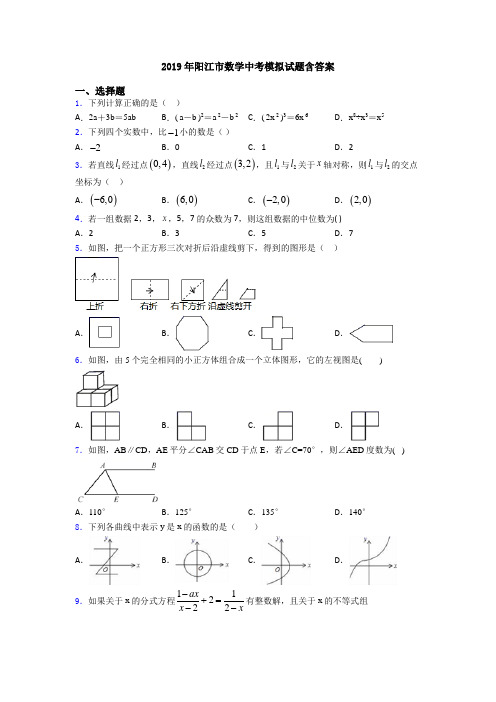2019年阳江市数学中考模拟试题含答案