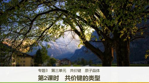 高中化学苏教版选修3课件：专题3 第三单元 第2课时