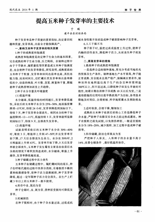 提高玉米种子发芽率的主要技术