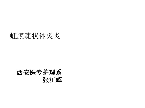 虹膜睫状体炎PPT课件
