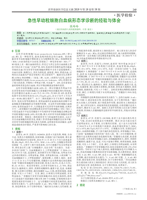 急性早幼粒细胞白血病形态学诊断的经验与体会