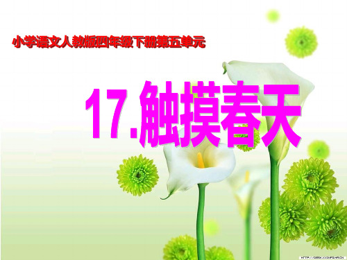 四年级语文下册17触摸春天精品PPT课件