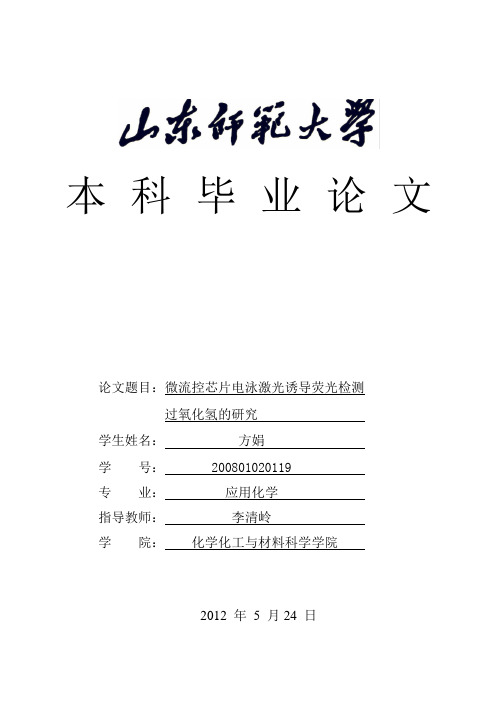 本科毕业论文分析化学微流控芯片