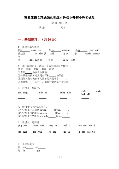 苏教版语文精选强化训练小升初试卷