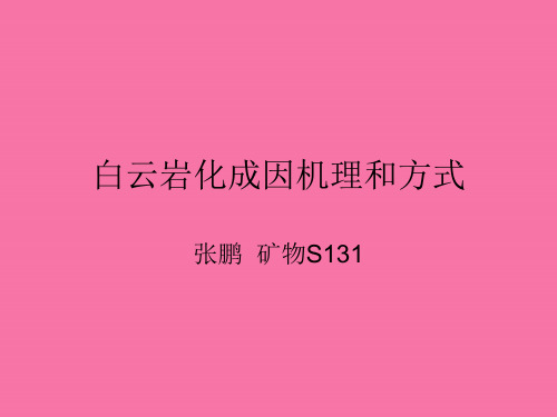 白云岩化成因机理和模式ppt课件
