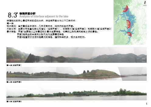 三岔湖第三次汇报(44)